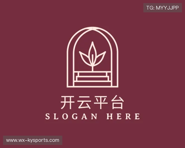 关于开云全站网站